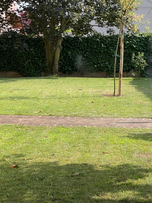 Il sistema antizanzare ideale per giardini e aree verdi